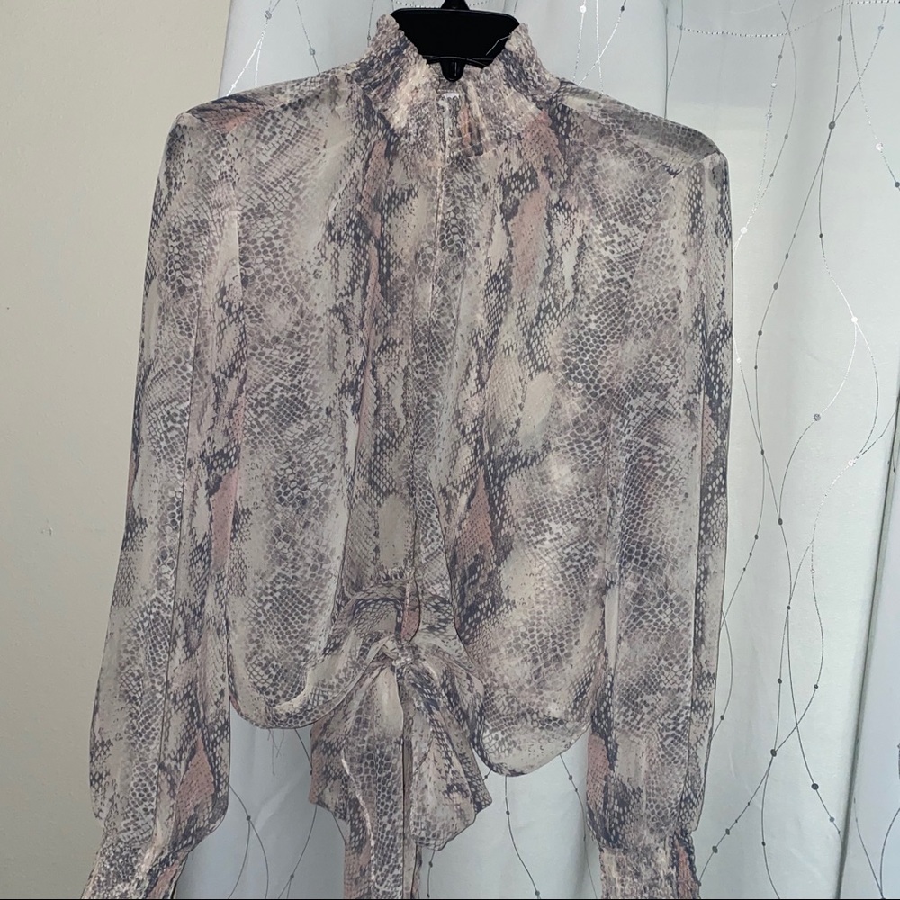 Sheer blouse